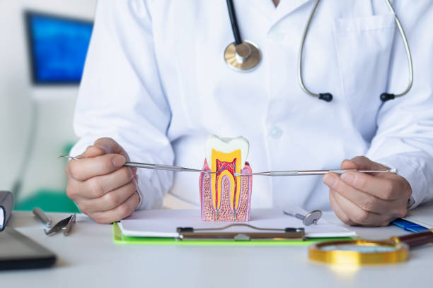 Best Emergency Dentist for Lost Fillings or Crowns in Cache, OK